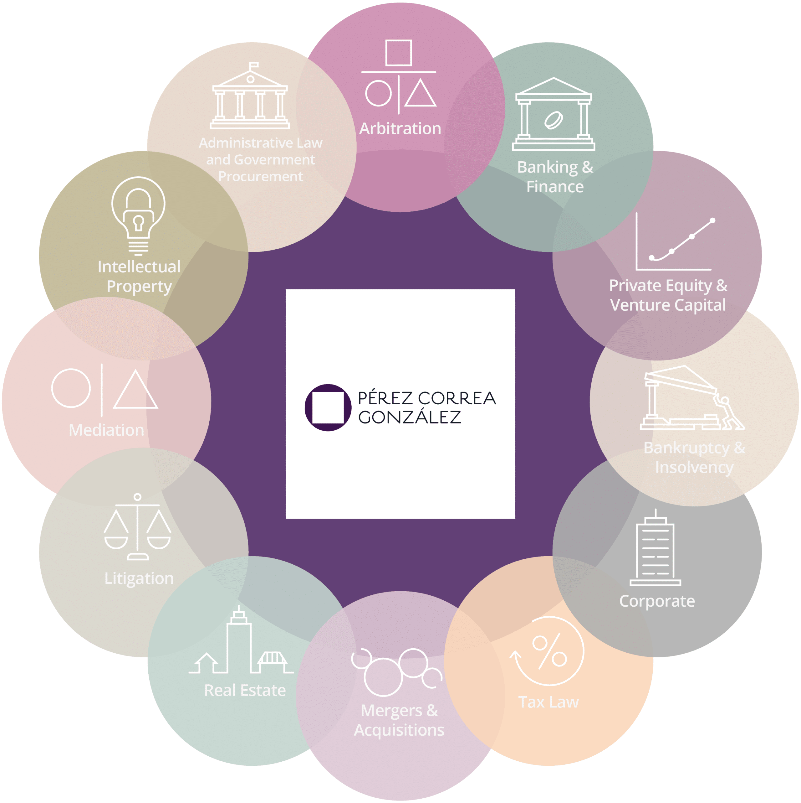 Diagram about Services offered by Perez Correa Goonzalz Law Firm